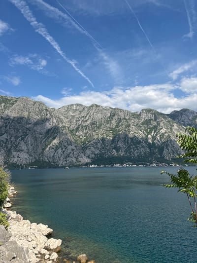 The image presents a scenic view in Donji Orahovac, Montenegro. Dominating the landscape is a towering, rugged mountain range with a mix of grey rock and sparse greenery. Adjacent to the mountain lies a large body of water, likely the Bay of Kotor, reflecting a deep blue-green hue. The water's surface shows slight ripples, suggesting a gentle breeze. Along the shoreline, a narrow strip of buildings indicates a coastal settlement. In the foreground, rocky terrain descends towards the water's edge, with patches of vegetation clinging to the rocks. Overhead, the sky is a bright blue, dotted with fluffy white clouds and contrails from passing aircraft. A tree branch with green leaves is visible in the top-right corner of the image. The overall scene captures the dramatic intersection of mountain, water, and sky, characteristic of the Montenegrin coastline.