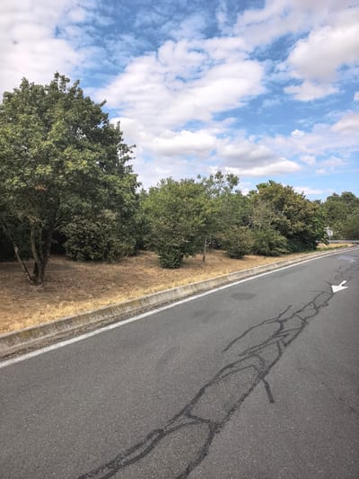 The image depicts a roadside scene under a partly cloudy blue sky. In the foreground, a paved asphalt road runs diagonally from the lower left to the upper right of the frame. A white directional arrow is painted on the road surface, pointing to the right. Dark, irregular patterns resembling dried liquid or repairs are visible on the asphalt. A concrete curb with a white line borders the road on the left. Beyond the curb is a dry, grassy embankment. A line of trees and dense green foliage forms a backdrop to the right of the embankment. The overall impression is a rural or suburban roadside environment. The location is identified as Saint-Augustin-des-Bois, France.