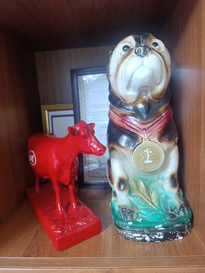 The image shows two statuettes on a wooden shelf. On the left is a bright red, stylized cow figurine with a white circular logo on its side. It stands on a rectangular red base that mimics grass. To the right of the cow is a ceramic bulldog figurine wearing a red ribbon around its neck with a gold-colored medal featuring the number "1" on it. The bulldog is depicted sitting, with green and brown coloring at its base, resembling grass and dirt. Behind the statuettes, a framed document with text is visible, and another framed item with a golden border is partially obscured. The overall setting appears to be an indoor shelf, likely in a home or office in Naryn City, Kyrgyzstan. There is no discernible activity or event taking place; the items are simply displayed. The lighting suggests it is daytime, but no specific time can be determined. The visible text on the framed document appears to be in Cyrillic script.