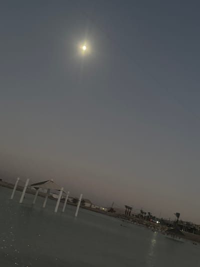 The image depicts a serene evening scene at a coastal location, likely a marina or harbor, with a body of water on the right and a dusky sky on the left. A bright, luminous full moon is a prominent subject in the sky, casting a soft glow. Along the shore, there are various structures including what appear to be moored boats, docks, and some vegetation, possibly palm trees, adding to the maritime atmosphere. A thin, dark line stretches diagonally across the sky, possibly a power line or a thin cloud.
The lighting suggests it is either dusk or dawn, with the moon being the primary light source visible. The water is calm, with subtle reflections and disturbances on its surface, hinting at a gentle breeze. The overall mood is tranquil and peaceful. The image has been rotated, giving it a vertical orientation. While there are no discernible people or specific activities captured, the setting itself, with its moored boats and waterfront structures, implies a place of leisure or activity related to the sea. The location context provided, Tamar Regional Council, Israel, places this scene within a specific geographical area known for its diverse landscapes, including coastal regions. No visible text is present in the image.