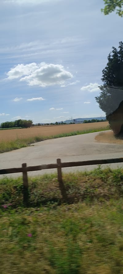 This image depicts a rural landscape near Fellbach, Germany, under a partly cloudy sky. A paved road curves through the scene, bordered by a wooden fence and grassy vegetation in the foreground. Beyond the road, a field of dry, golden crops stretches to the horizon. In the middle ground, a line of trees is visible, behind which a modern industrial building complex with prominent power lines and transmission towers can be seen. The reflection of foliage is visible in the top right corner, suggesting the photo was taken from a vehicle. The overall impression is that of a bright, sunny day in the countryside, with a contrast between natural elements and industrial development.
