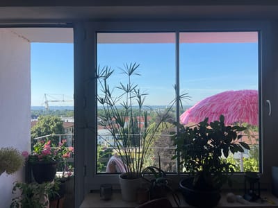 A view from a window looks out onto a bright, sunny day in Mühldorf a. Inn, Germany. The scene is set on what appears to be a balcony or ledge, with several potted plants visible. In the foreground, on the windowsill, are three small glass containers and a dark-potted plant with dark green, glossy leaves. To the left, outside the window, more plants are arranged, including a pot of pink flowers and a large, pale green, fuzzy-looking plant.

Through the window, a cityscape unfolds under a clear blue sky. The mid-ground features a dense collection of trees and residential buildings with red-tiled roofs. In the distance, a large construction crane is visible, suggesting ongoing development. A bright pink, fringed umbrella or parasol is prominent in the middle-right portion of the view, adding a splash of vibrant color. Another potted plant, a papyrus-like specimen with thin, spiky leaves, stands tall in the center of the window. The sun is high in the sky, indicating it is likely midday. The overall atmosphere is one of a peaceful, ordinary day, with the plants providing a domestic touch to the expansive outdoor scene. No text is visible in the image.