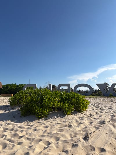The image captures a beach scene with large, gray, three-dimensional letters spelling out "WORLD" positioned on the sand. The letters are monumental in scale, with the "O" being a circular shape and the "W" having sharp, angular lines. In the foreground, a lush green shrubbery is planted in front of the letters, partially obscuring their bases. The ground is covered in light-colored sand with visible footprints and ripples, suggesting recent activity or wind.
Behind the letters, a line of palm trees can be seen, indicating a tropical or subtropical environment. The sky above is a clear, bright blue with a few wispy white clouds towards the right side of the frame. On the far left, a thatched-roof structure, possibly a hut or shelter, is partially visible. The lighting suggests it is daytime, likely late morning or early afternoon, with the sun casting subtle shadows on the sand.
The image does not contain any people or any visible actions or interactions. The environment is a serene beach setting, likely a tourist destination, given the prominent signage. The specific location in the city of Bac Cam Ranh Ward, Vietnam, is not directly evident from visual cues within the image itself, but the presence of palm trees and a beach aligns with coastal regions of Vietnam.