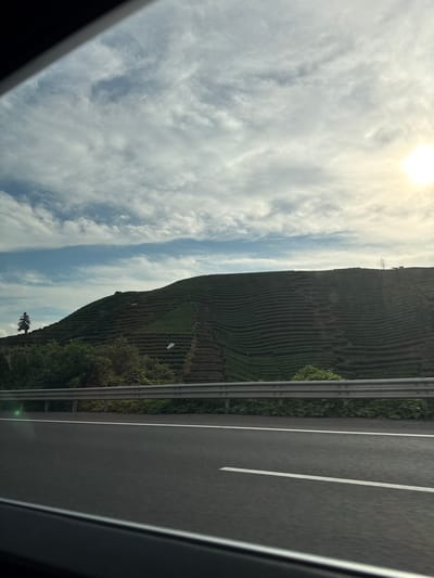 This is a photograph taken from a vehicle looking out at a terraced hillside and a highway. The sun is shining brightly through a cloudy sky, suggesting it is daytime, likely late morning or early afternoon given the lighting. The hillside is covered in dense, dark green vegetation, arranged in neat, horizontal terraces that ascend the slope. This agricultural pattern is characteristic of tea plantations or similar hillside farming.
On the right side of the image, a paved highway runs parallel to the hillside. White lines mark the lanes of traffic. A metal guardrail separates the highway from the vegetated area next to it. The overall scene evokes a sense of travel through a scenic rural landscape. There are no people or specific objects visible on the highway or the hillside. A single, tall, dark tree stands on the slope of the hill, adding a vertical element to the otherwise horizontal lines of the terraces. The image appears to be taken from inside a car, indicated by the dark frame at the bottom and the slight distortion of the view. The location is Fuyang, China, which is known for its mountainous terrain and agricultural practices like tea cultivation, consistent with the visual evidence in the photograph. The overall mood is peaceful and serene, highlighting the natural beauty of the landscape.