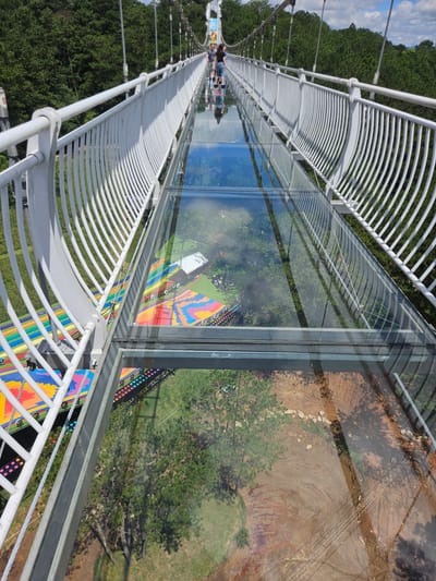 The image depicts a glass-bottomed suspension bridge in Lam Vien, Da Lat, Vietnam. The bridge features white, curved metal railings and a transparent glass floor that allows a view of the ground and greenery below. The scene appears to be set during the daytime, with ample natural light and some clouds visible in the sky.
Several individuals are visible on the bridge, walking and enjoying the view. Their reflections are also visible in the glass, adding a sense of depth and perspective. The ground beneath the bridge consists of a mix of grass, soil, and trees. Vibrant, colorful artwork, resembling geometric patterns and abstract designs, is visible on the sides of the bridge and through the glass, adding a festive and artistic touch to the scene.
The overall impression is one of a tourist attraction offering a unique and exciting perspective of the surrounding natural landscape. The transparent floor creates a sense of adventure and allows visitors to experience the height and the environment from a different vantage point. The location cues like the lush green trees and the style of the bridge suggest it is a popular spot for recreation and sightseeing. There is no visible text in the image.