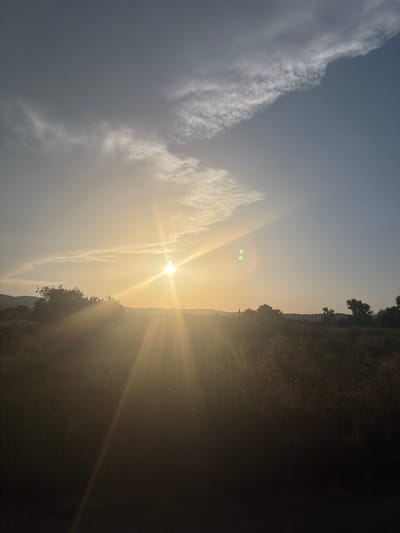 This is a landscape photograph taken at sunset in Zhivkovo, Bulgaria. The sun is low on the horizon, casting a warm, golden light across the scene. The sky is a gradient of pale blue and gray, with wispy clouds. In the foreground, there is a field of dry grass and some scattered trees. In the distance, rolling hills are silhouetted against the sky. The overall impression is one of peace and tranquility.