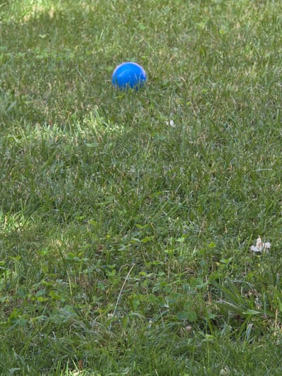 A bright blue ball rests in a patch of green grass. The ball is slightly deflated and appears to be a child's toy. The grass is short and well-maintained, with a few clover leaves and scattered white flowers. The scene is well-lit, suggesting it is daytime. The location is an outdoor area, likely a park or a backyard in Voluntari, Romania. There are no people or animals visible in the image.