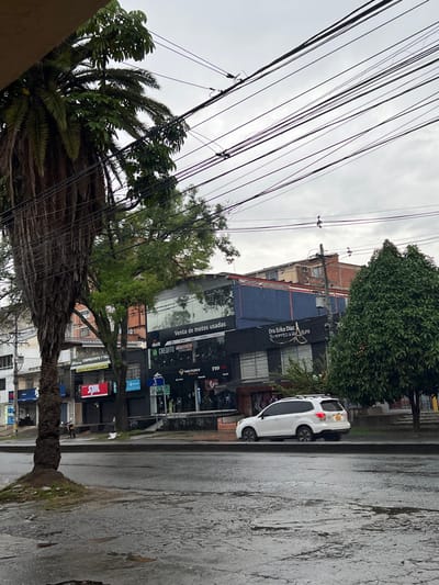 A street scene features a white car parked beside a building with multiple storefronts. The storefronts display advertisements and logos including "SYM", "dosk", "CREDITO", "Venta de motos usadas", "VICTORY", "TES", and "Dra Erika Díaz" with the tagline "Tu sonrisa a la Vitura". A tall palm tree and other greenery border the street, while overhead a dense network of power lines crisscrosses the sky. The road surface appears wet.