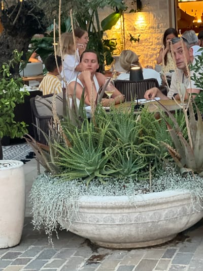 In Đenovići, Montenegro, a group of people are seated at tables in an outdoor restaurant setting. In the foreground, a large, ornate stone planter overflows with succulent plants, including aloe vera and trailing ground cover. Behind the planter, a woman in the foreground with dark hair is resting her chin on her hand, looking to the left. To her right, a man with graying hair is looking directly at the camera. Other individuals, including children, are visible in the background, some interacting with each other. The restaurant appears to be situated in a lush, green environment, with trees and foliage contributing to the atmosphere. The lighting suggests it is either late afternoon or early evening.