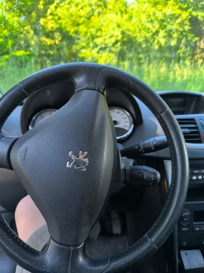 The image shows the interior of a Peugeot car, focusing on the steering wheel with the Peugeot logo prominently displayed. The dashboard, speedometer, and control panels are partially visible. Outside the windshield, there is a blurry view of trees and green foliage. Part of the driver's leg wearing shorts is visible. The image suggests the car is either parked or moving slowly in an area with lush greenery. There is no information in the image that would relate to Chaponnay, France.