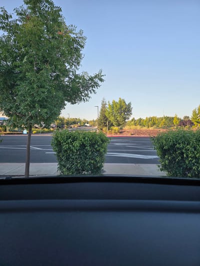 A wide-angle, eye-level exterior shot shows a parking lot in Roseville, California, under a clear blue sky. In the foreground, a dark, textured dashboard of a vehicle takes up the bottom portion of the frame. The middle ground is dominated by a paved parking lot with white lane markings, bordered by a sidewalk and a strip of grass. Two manicured, spherical green bushes are positioned on either side of the frame. To the left, a slender tree with green leaves stands tall. Behind the parking lot, a variety of trees with lush green foliage and some with yellowing leaves are visible, interspersed with streetlights. The background consists of more trees and a clear sky, suggesting a sunny day.
