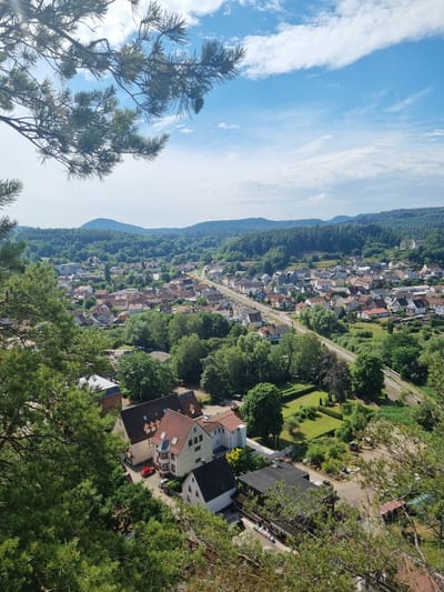 The image is a high-angle, panoramic view of the town of Dahn, Germany, taken from a wooded hilltop. In the foreground, lush green pine branches and needles partially obscure the view. Below, a dense residential area with red-tiled roofs and white and light-colored facades sprawls across the landscape. A road winds through the town, with visible train tracks running parallel to it in some sections. Beyond the town, rolling hills covered in dense green forests stretch to the horizon, meeting a bright blue sky dotted with white, wispy clouds. The scene is bathed in natural sunlight, suggesting it was taken during the daytime. No people are discernible in the image. The overall impression is one of a peaceful, scenic town nestled within a heavily forested natural environment.