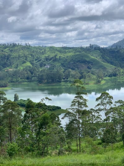 The image depicts a serene landscape of Kuda Maskeliya, Sri Lanka, dominated by lush green hills and a tranquil lake. The hills, terraced and covered with vegetation, rise majestically in the background. A serene lake with a calm, greenish surface occupies the middle ground, reflecting the overcast sky and the surrounding greenery. Tall, slender trees with dense foliage are scattered throughout the landscape, lining the lake's edge and dotting the hillsides. In the foreground, a dense growth of grass and shrubs creates a natural border, leading the eye towards the water and the hills beyond. A few buildings are visible nestled on the distant hillsides. The sky is heavily clouded, with shades of grey and white indicating a possibility of rain. The overall atmosphere is one of natural beauty and peacefulness.
