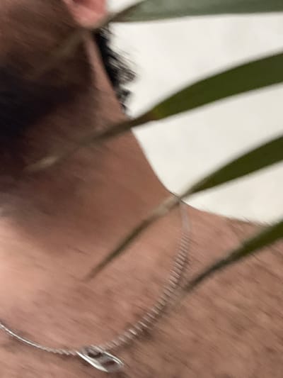 A close-up, abstract photograph captures a segment of a person's upper body, specifically the neck and shoulder area, partially obscured by green plant leaves. The dominant elements are the person's medium to dark brown skin, several long, slender green leaves, and a delicate silver-colored necklace.
The skin fills a significant portion of the frame, showing subtle textures and what appears to be short hair or stubble, particularly on the shoulder/upper chest area. On the left side of the frame, a mass of dark, possibly curly hair is visible, suggesting the person's head or hairline is just out of view or partially obscured by the foreground.
Several prominent green leaves, appearing long and blade-like, cross the image diagonally from various angles, creating a sense of depth and partially framing the subject. These leaves are relatively in focus, indicating they are close to the camera, creating a layered effect over the person's body.
Around the person's neck, a thin, silver-colored chain necklace is visible. It drapes across the skin, with a small, reflective silver pendant (possibly a circular or abstract shape) resting near the right edge of the frame.
The background behind the person is indistinct and uniformly light-colored, suggesting a blurred wall or an ambient light source, contributing to the shallow depth of field that keeps the focus on the skin, leaves, and necklace. No specific activity is discernible from the image; it appears to be a still, intimate portrait focusing on textures and close details. No text is visible in the image.