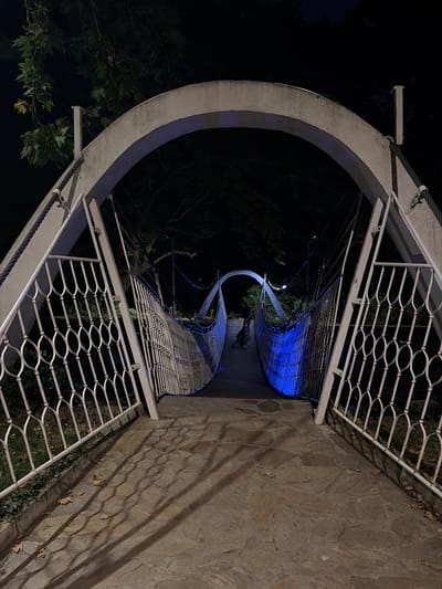 This image shows a night view of the pedestrian bridge over the Sandanska Bistritsa River in Sandanski, Bulgaria. The bridge features a white arched entrance structure and a suspension walkway with white metal railings. The walkway is illuminated by blue lights, casting a vibrant glow on the right side. In the distance, on the walkway, a person and a dog are visible, silhouetted against the faint light. The ground leading to the bridge is paved with irregular stone tiles, and fallen leaves are scattered on the path and the grassy area to the left. Trees with dark foliage are visible in the background, silhouetted against the dark night sky. The overall scene captures a tranquil, illuminated ambiance of the bridge at night.