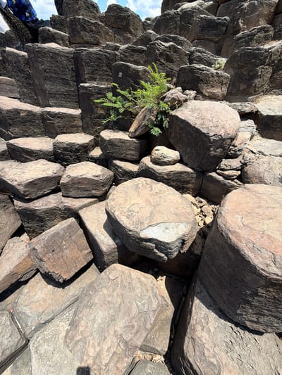 The image depicts a close-up view of a rock formation in Phú Lương, Vietnam. The rocks are large and angular, stacked in a way that creates deep shadows and highlights. Some of the rocks have a rough, weathered texture, while others appear smoother.
A small cluster of green, leafy plants is growing in a crevice between the rocks, adding a touch of life to the otherwise barren scene. The lighting suggests it is daytime, with strong sunlight casting distinct shadows. The sky is visible in the upper left portion of the image, appearing bright and possibly cloudy. The overall impression is one of natural ruggedness and the resilience of plant life in a harsh environment. The image is oriented vertically, with the bulk of the rock formation dominating the frame. There is no visible text in the image.
