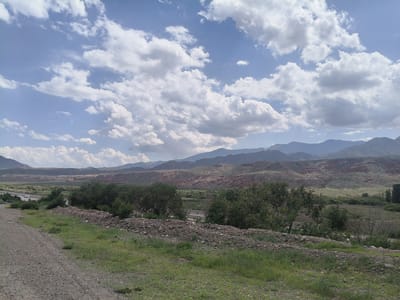 The image depicts a wide, sweeping landscape under a bright, cloudy sky. In the foreground, a gravelly path or road runs diagonally from the bottom left corner towards the center of the frame. Adjacent to the road, a grassy embankment is covered with scattered rocks and vegetation.
Further into the scene, a line of trees, some appearing lush and green while others are sparser, stretches horizontally across the middle ground. Beyond the trees, a valley unfolds with rolling hills characterized by reddish-brown soil and sparse green vegetation. In the distance, a series of larger, layered mountains form the backdrop, their peaks softened by the atmospheric haze. A road with a few vehicles can be seen on the left side of the frame, traversing the landscape. The overall environment suggests a rural or natural setting, possibly in a mountainous or arid region.