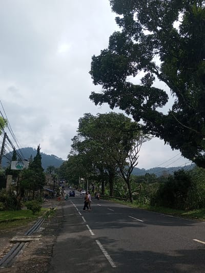 A winding asphalt road stretches into the distance, marked by white lane dividers. Two pedestrians cross the road, while cars and a motorcycle approach in the opposite lane. Lush green trees line both sides of the road, with mountains visible in the background. The sky is overcast with a few breaks in the clouds. A utility pole and associated wires are visible on the left side of the frame.