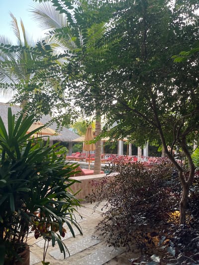 The image depicts an outdoor scene in Brisas de Zicatela, Mexico. It includes lush vegetation, such as tropical trees and bushes, partially obscuring a view of a building or structure with white columns and a thatched roof. The scene appears to be a resort or vacation setting with lounge chairs and sun umbrellas visible in the background. The foreground features a mix of green and red foliage. The lighting is bright, suggesting a sunny day.