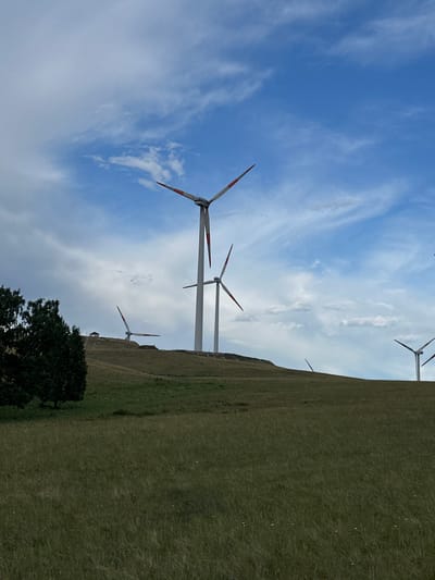 An outdoor, daytime, medium shot captures a vast, undulating grassy field in the foreground, leading up to a rolling hillside dotted with several large wind turbines. The sky above is a vibrant blue, streaked with wispy white clouds, creating a dynamic backdrop. A lone, dark green tree stands prominently on the left side of the frame, its foliage dense. The wind turbines, some with their blades angled upwards, dominate the middle ground and background, suggesting a wind farm. One turbine in the middle distance is positioned on the crest of the hill, near a small, light-colored building. The overall impression is one of a serene, rural landscape characterized by renewable energy infrastructure. The location is specified as Bereznyakovka, Kazakhstan.
