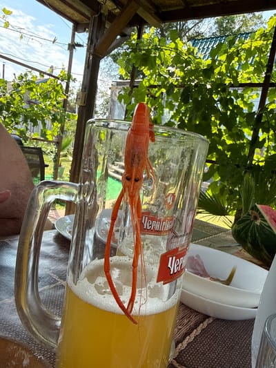A close-up shot captures a single cooked crayfish perched precariously on the rim of a tall, foamy beer mug. The mug, filled with a golden lager, is positioned on a table covered with a patterned tablecloth. In the background, lush green foliage drapes from an overhead structure, suggesting an outdoor setting, possibly a cafe or beer garden in Serhiivka, Ukraine. Sunlight filters through the leaves, casting dappled shadows. A portion of a watermelon is visible to the right of the mug, along with white plates and what appears to be a person's leg on the left side of the frame. The overall atmosphere is casual and relaxed, indicative of a summer day outdoors.