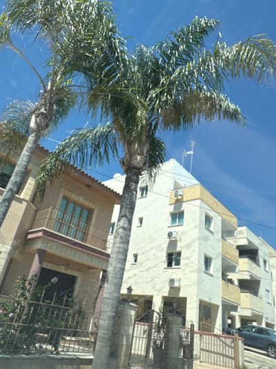 The image depicts a street scene in Larnaca, Cyprus, with two prominent palm trees framing the view of apartment buildings and a house. The buildings are modern, with a mix of light-colored facades and balconies. One building features multiple air conditioning units on its exterior. A dark-colored car is parked on the street, partially visible. The sky is a clear blue, suggesting fair weather. The overall impression is of a residential area in a sunny, possibly coastal, location.