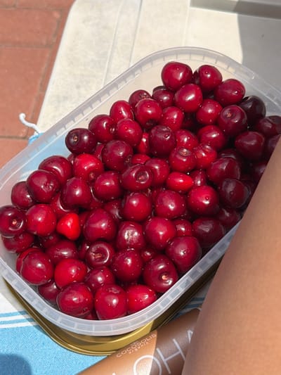 A close-up, overhead shot shows a clear plastic container filled with dark red cherries. The container has a gold-colored rim and sits on a striped blue and white towel. The background is blurred, with hints of a red tiled surface and a white chair. Sunlight casts shadows across the scene. A portion of a person's arm, with tanned skin, is visible on the right side of the image. The label of a product, "COCOSOLIS ORGANIC", is partially visible on the bottom right. The image appears to be taken outdoors on a sunny day, possibly in Simitli, Bulgaria, given the context of the prompt. There is no interaction or action occurring in the image.