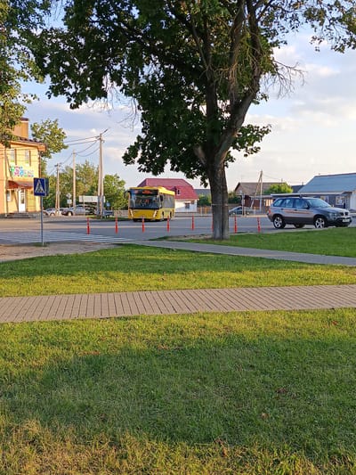 The image depicts a street scene in Смілавіцкі сельскі Савет, Belarus, bathed in the warm light of late afternoon or early evening. A bright yellow bus, displaying the route number 391 and destination "Мінск Смалявічы" (Minsk Smalyavichy), is the central focus, stopped at a pedestrian crossing marked with white stripes on the asphalt. The bus has its headlights on.
To the left of the bus, a blue pedestrian crossing sign is visible. Several orange traffic cones are placed along the edge of the road, delineating the crossing area. Behind the cones and the bus, a dark-colored SUV is parked. Further in the background, several residential buildings with tiled roofs are present, along with trees and utility poles.
In the foreground, a paved walkway runs parallel to the road, bordered by a well-maintained lawn with green grass. A large tree with dark green leaves partially obscures the sky, which is a soft blue with scattered white clouds. The overall impression is a quiet, everyday moment in a suburban or rural Belarusian setting.