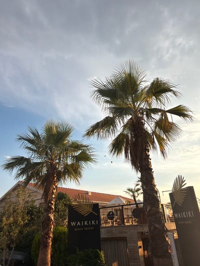 This image depicts a view of the Waikiki Beach Resort in Donja Lastva, Montenegro, under a partly cloudy sky. Two prominent palm trees stand in the foreground, with their fronds reaching towards the sky. Behind the palm trees, a building with a terracotta tiled roof is visible, along with outdoor seating areas and umbrellas. Two black signs with a golden palm leaf logo and the text "WAIKIKI BEACH RESORT" are prominently displayed. The lighting suggests it is either sunrise or sunset, casting a warm glow on the scene. There are no people visible in the image.