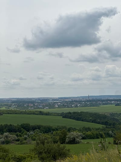 The image is a landscape view of Kolubaivtsi, Ukraine, on an overcast day. In the foreground, there are grassy hills with some wildflowers. In the middle ground, there are lush green fields and a dense line of trees. Further in the background, a village with scattered houses is visible. Beyond the village, a town or city stretches across the horizon with various buildings, including a tall industrial chimney. Power lines run horizontally across the upper portion of the image. The sky is filled with heavy, grey clouds. No people are visible in the image.
