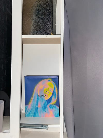 The image depicts a close-up, eye-level, interior shot of a white shelving unit. A blue box with a colorful abstract portrait of a woman is placed on the bottom shelf. The box has the text "CHNO" and "SAFF & CO." printed on it. To the left of the shelving unit, a portion of a white cylindrical object is visible. The background consists of a textured, dark wall on the left and a grey, fabric-like surface on the right. The scene does not contain any identifiable landmarks of Margorejo, Indonesia, and therefore cannot be localized to that city.