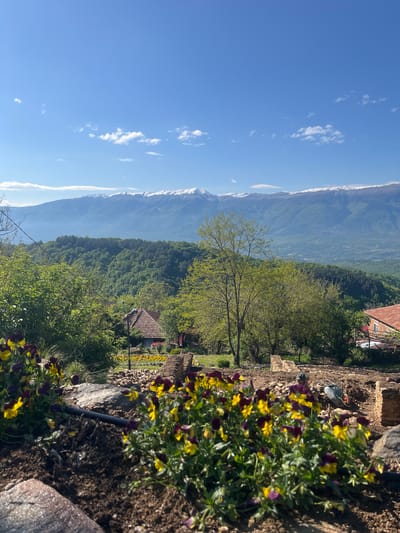 The image depicts a landscape in Dolene, Bulgaria. In the foreground, there are yellow and purple flowers growing along a stone wall. A single-story house with a red tiled roof is visible through the trees. In the mid-ground, a forest covers the hillside. In the background, there is a tall mountain range, with patches of snow visible on the peaks under a blue sky with scattered clouds.
