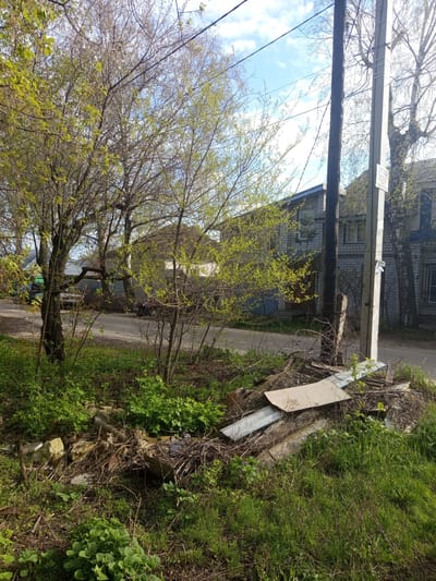 The image depicts a scene in посёлок 1-го отделения совхоза "Масловский", Russia. A wooden utility pole stands adjacent to a paved road. Beyond the road, a brick building is visible. A tree with budding leaves is in the foreground. The area beside the road contains overgrown vegetation, including grass, shrubs, and weeds. Debris and discarded materials, including metal sheets and other unidentified waste, are present amongst the vegetation. The sky is partly cloudy.