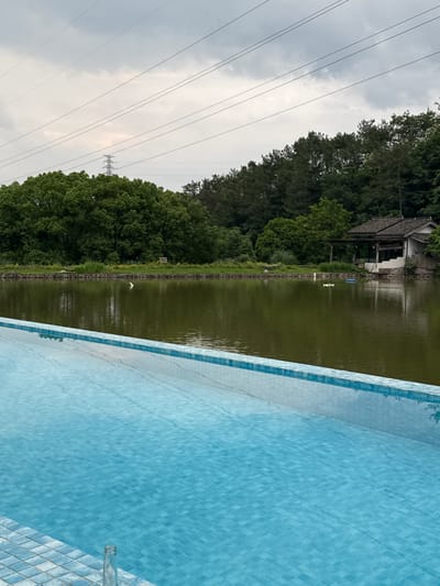 The image presents a view of a serene landscape, likely in a rural area. A body of water, possibly a lake or large pond, stretches across the midground, its surface reflecting the surrounding environment. Along the water's edge, a fence runs parallel, separating the water from a dense line of trees and greenery. A small structure, resembling a building or hut, is visible on the opposite bank of the water.
In the foreground, there's a section of a blue-tiled wall, suggesting a pool or other man-made structure. Overhead, electrical power lines stretch across the sky, supported by a utility pole. The sky is overcast with cloudy skies. There is no indication that the photograph was taken in Jinhua, China.