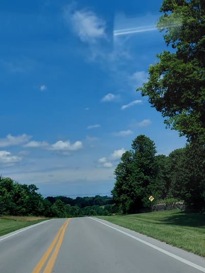 This media file depicts a scenic view of a road and its surroundings, likely captured during daytime on a clear day. The perspective suggests the image was taken from a moving vehicle, looking slightly upwards and to the right. 

The scene is dominated by a paved road with double yellow lines, indicating it's a two-lane highway. To the right of the road, a neatly mowed grassy verge slopes gently upwards, bordered by a dense line of green trees. Beyond the trees, the landscape appears to recede into rolling hills, also covered in vegetation. In the distance, more trees form a dark green, undulating horizon line.

To the left of the road, the sky is a vibrant blue, with scattered white clouds of varying sizes and densities. Sunlight streams down, creating a bright, airy atmosphere. In the upper left quadrant of the image, the branches of a large tree with lush green foliage extend into the frame, casting shadows and adding to the natural beauty of the scene.

A notable detail is a yellow diamond-shaped sign with a black arrow pointing upwards and to the right, positioned near the tree line. This likely indicates a turn or curve in the road ahead. The overall impression is one of a peaceful drive through a rural or semi-rural area in the United States. The weather appears pleasant, and the time of day is likely late morning or afternoon, given the brightness of the sky and the shadows. There is no visible text beyond the road markings and the traffic sign.