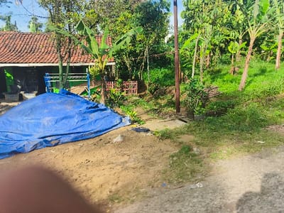 The image shows a dirt road in a rural setting near a home in Purwakarta, Indonesia (latitude: -6.664, longitude: 107.416). A large blue tarp is covering a pile of dirt in front of the home. There are green, leafy plants and trees surrounding the home and road. A wooden fence is behind the pile of dirt. The home has a red tile roof. The road is dusty and appears to be unpaved. The surrounding vegetation is lush and green. There are no people or animals visible in the image.