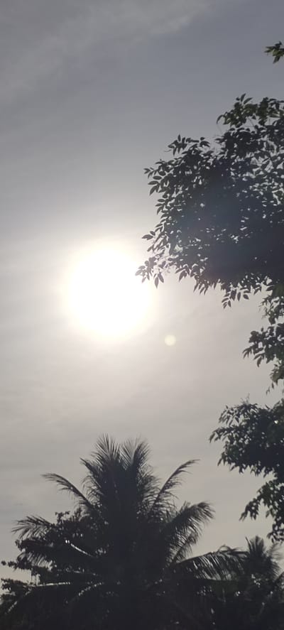 The image shows a bright, hazy sky in Aluekeujruen, Indonesia, likely during daytime. The sun is a prominent, bright white orb, partially obscured by thin clouds or haze. Silhouetted against the bright sky are the dark forms of trees. A coconut palm is centered at the bottom, while generic trees are at the right. The exact interaction and environment are not fully clear due to the strong backlighting.