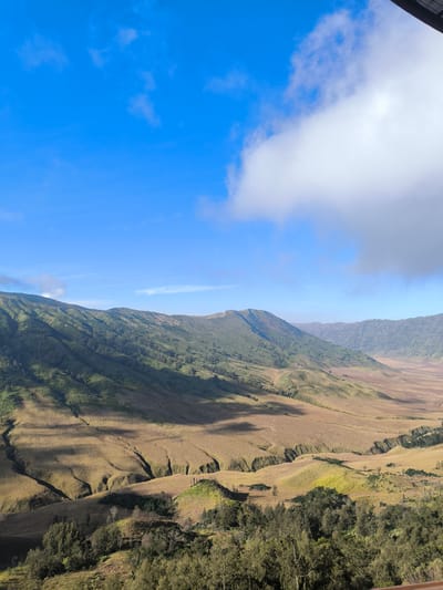 This is an image of a vast, undulating landscape under a bright blue sky dotted with fluffy white clouds. The terrain is characterized by rolling hills covered in dry, golden-brown grass, with darker green patches of vegetation scattered throughout. Deep ravines and gullies carve their way across the landscape, creating dramatic shadows and light patterns due to the sun. In the background, larger, more rugged mountains rise, their slopes also covered in a mix of green and brown vegetation. The overall impression is one of a remote, natural environment, likely a volcanic caldera or a vast savanna.
The time of day appears to be morning or early afternoon, given the strong sunlight casting distinct shadows. The weather seems clear and sunny, with only a few clouds present. The location is identified as Ngadas, Indonesia, which aligns with the appearance of the landscape, potentially part of a volcanic area. There are no people or specific objects visible in the scene, nor is there any text. The image evokes a sense of natural grandeur and a peaceful, open expanse.