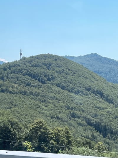 A high-angle, wide shot captures a lush, green mountainside in the city of Col, Slovenia, under a clear blue sky. The foreground is dominated by a dense forest of deciduous trees, their leaves a vibrant green, creating a textured carpet across the undulating terrain. A tall, slender communication tower, possibly a cell tower, stands on the crest of the nearest mountain peak, its metallic structure a stark contrast to the natural landscape. Behind this prominent peak, a second, more distant mountain rises, its slopes also covered in trees, though appearing a lighter shade of green due to the atmospheric perspective. In the immediate foreground, a white railing runs horizontally across the bottom of the frame, partially obscuring some of the lower foliage. The image conveys a sense of natural beauty and technological presence within the Slovenian countryside.