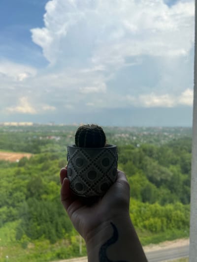 A close-up, eye-level shot shows a person's hand holding a small, potted cactus. The cactus is in a textured, gray, geometric pot. The background is a blurred, green landscape with a hazy city skyline in the distance. The sky above is partly cloudy with large, white cumulus clouds against a pale blue sky. The image appears to be taken from an indoor location, possibly a window, looking out over the city of Ankudinovka, Russia.