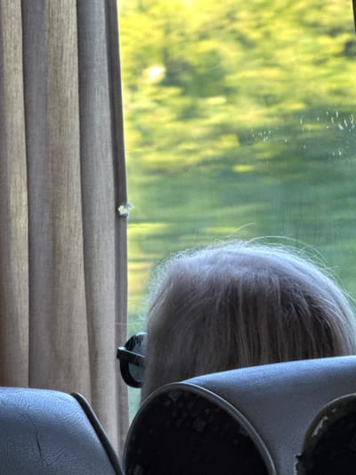 The image is an interior shot, likely from inside a vehicle, showing a person's head from behind, looking out a window. The person has thin, light-colored hair and is wearing dark-rimmed sunglasses. The window reveals a blurred green and yellow outdoor scene, suggesting foliage and possibly sunlight. To the left, a beige curtain hangs, with a small, light-colored object attached to it near the center. In the foreground, the tops of two dark-colored seats are visible. The image does not provide any specific visual cues to determine the location within the city of Kiosevtsi, Bulgaria.