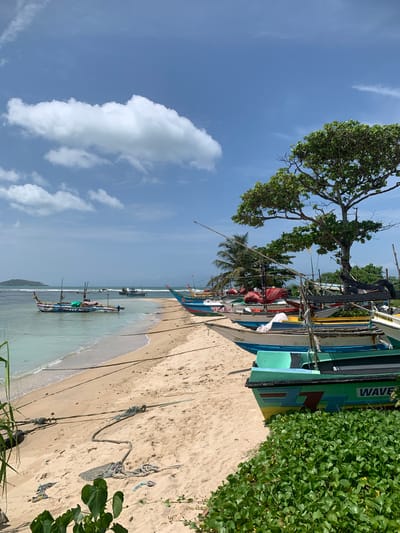 A sunny daytime, medium-shot, eye-level photograph captures a serene beach scene in Weligama, Sri Lanka. The foreground is dominated by a sandy beach dotted with several colorful fishing boats, some moored and others gently bobbing in the shallow, turquoise water. Thick green vegetation sprouts from the right side of the frame, and a large tree with a sprawling canopy stands tall on the sandy shore. The ocean stretches out to the horizon under a clear blue sky with scattered white clouds. In the distance, a small island with lush green vegetation is visible. The overall ambiance is peaceful and picturesque, showcasing a typical coastal landscape of the region.