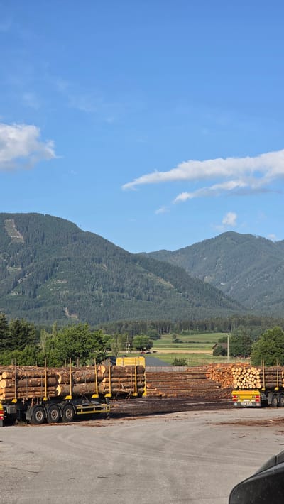 The image depicts an outdoor scene in Feistritz an der Drau, Austria, featuring a lumber yard. In the foreground, a large truck loaded with logs is visible, positioned on a paved surface. To the right of this truck, another truck also carrying logs is parked, with the text "matik" displayed on its rear. Extensive stacks of logs are arranged behind the trucks, forming a significant portion of the yard's inventory. The background is dominated by a verdant, tree-covered mountain range under a clear blue sky dotted with white clouds. Agricultural fields and scattered buildings are visible at the base of the mountains, suggesting a rural setting. The overall atmosphere is one of industrial activity related to timber processing, set against a backdrop of natural beauty.