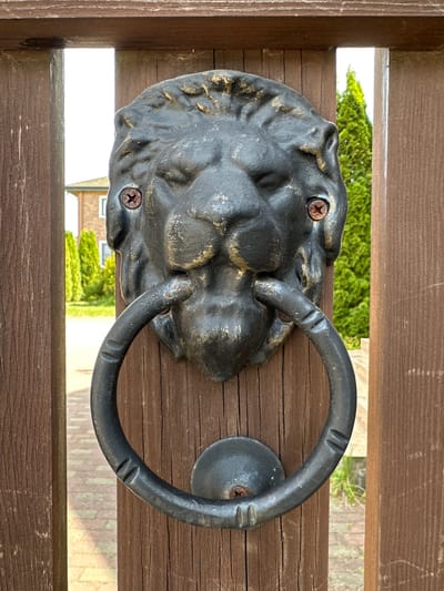 A weathered, dark metal lion-head door knocker is centrally mounted on a vertical wooden gate plank in Novoglagolevo, Russia. The knocker features a detailed lion's head with a stylized mane and a heavy, dark metal ring held in its mouth, currently in a resting position. The lion's head is secured by two rusted cross-head screws in the eye areas, and the ring's base by a single flat-head screw. The gate is constructed from dark brown, vertically oriented wooden planks with visible grain and minor weathering, featuring significant gaps between them. Through these gaps, a blurred background reveals a paved pathway of light-colored bricks, several conical green evergreen trees, and a distant two-story building constructed of reddish-brown brick with white-framed windows, all under a bright, possibly overcast, daytime sky.