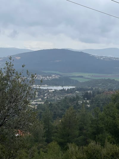 An elevated, wide-angle landscape photograph depicts a rural mountainous region within the Merom HaGalil Regional Council, Israel, under a uniformly overcast sky. The foreground features the upper portions of various trees, including a deciduous tree with light green leaves on the left and several dark green coniferous trees in the lower-center and right. Three dark, thin utility lines traverse horizontally across the upper midground. The midground reveals a valley containing a light-colored body of water, consistent with a reservoir, encircled by a mix of cultivated fields (some green, some brown/reddish), forested areas, and scattered white-roofed buildings indicative of human settlements. A notable cluster of buildings is visible on a hillside to the left of the reservoir. Multiple electricity pylons and their associated power lines are present throughout the valley. The background consists of several layers of undulating mountains and hills, appearing dark green to bluish-grey due to atmospheric haze, with the furthest peaks partially obscured by the low-hanging clouds. No individuals or specific actions are discernible within the scene.