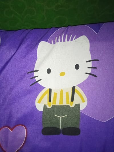 Umsobomvu Local Municipality, South Africa. The image presents a close-up, top-down view of a purple fabric item, likely a pillowcase or bedding, featuring a printed cartoon character. The character is a white Hello Kitty figure, depicted with a yellow and white horizontally striped shirt, dark grey overalls with black suspenders, and black shoes. Its facial features include black circular eyes, a yellow oval nose, and three black whiskers on each side of its face. The purple background fabric displays faint outlines of hearts, with a partial dark red heart visible in the lower-left corner and a larger, fainter purple heart partially visible on the right side. A section of dark green fabric, possibly another piece of bedding, runs across the top edge of the frame. No individuals are present, and no actions or interactions are depicted. The scene is static, representing an indoor environment.