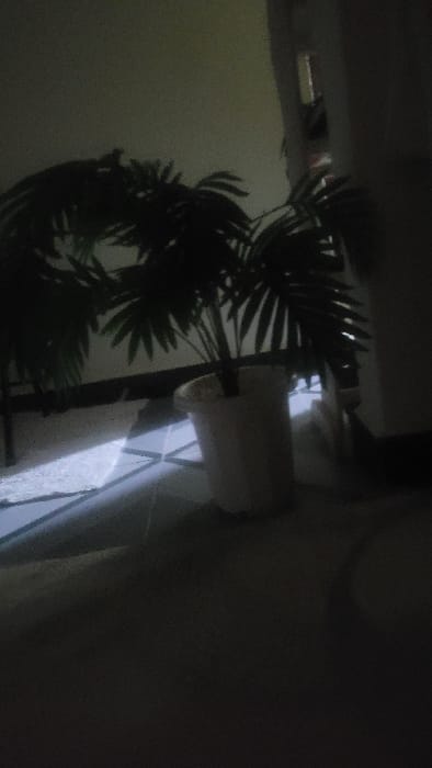 The image displays a dimly lit interior or semi-enclosed space within Nanyuki, Kenya. A dark green foliage plant, consistent with a palm species, stands centrally, contained within a light-colored, multi-faceted planter pot. The pot is positioned on a floor composed of light-colored, reflective square tiles with discernible darker grout lines. A distinct, bright trapezoidal beam of light illuminates a section of the tiled floor to the left and the base of the plant pot, originating from an unseen source to the left. The background features a plain, dark-colored wall and a vertical structural element on the right side of the frame. No individuals, animals, or discernible actions are present.