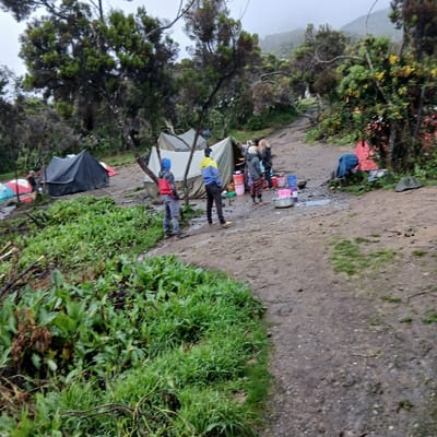 The image displays an outdoor encampment at Horombo Huts, Tanzania, under overcast weather conditions. The scene is centered on a muddy dirt path and clearing surrounded by sparse trees and dense green vegetation.

Approximately nine individuals are present. In the mid-ground, two people stand with their backs to the camera: one wears a red and blue hooded jacket with grey pants, the other a blue and yellow hooded jacket with dark pants. Behind them, a group of five individuals is gathered around multiple colorful plastic basins (pink, blue, white) and a large metal pot placed directly on the wet ground, engaging in an unspecified activity. Additional individuals are partially visible near tents to the left and right.

Multiple tents are pitched across the uneven terrain. A large, light-colored canvas tent is centrally located, with a dark-colored dome tent positioned to its left. Several smaller, multi-colored dome tents (red, blue, striped) are visible further left in the background, and a red tent is partially seen on the far right.

The ground is predominantly mud and dirt, exhibiting wet patches and puddles consistent with damp conditions. Lush green low-lying vegetation covers the foreground and flanks the encampment. Scattered trees with sparse foliage and exposed branches frame the scene, with some trees displaying yellowish leaves or flowers. A misty mountain range or large hill is partially visible in the distant background, obscured by clouds or fog.