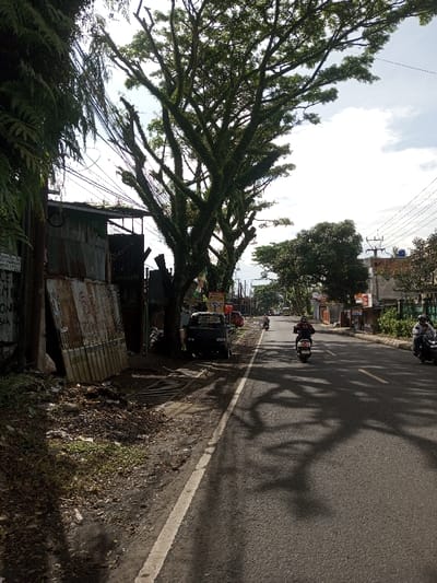 The image depicts a daytime street scene, with a paved two-lane road running through what appears to be a semi-urban or rural area. The sky is partly cloudy, and strong sunlight casts prominent tree shadows across the asphalt.
On the left side of the frame, a dense canopy of green foliage is visible at the far left, partially obscuring a structure constructed from corrugated metal sheets. These sheets exhibit rust and wear, with some leaning against the main structure. A white sign on this structure contains text in Indonesian, including "Jaminan Pasti," "Gratis Pemasangan," and "Indonesia." Below it, a partially visible sign reads "REX LITE." Adjacent to this structure, a large tree with a thick, gnarled trunk and extensive, moss-covered branches stands prominently, casting significant shadows. A dark-colored pickup truck is parked on the dirt shoulder beneath this tree, accompanied by a parked motorcycle. The ground immediately to the left of the road is a dirt and debris-strewn shoulder with some sparse vegetation and a visible storm drain.
The paved road features a solid white line delineating the shoulder from the main traffic lane. Further down the road, a broken yellow line indicates two-way traffic. Three motorcycles are visible on the road: one person on a black motorcycle, wearing a dark jacket and helmet, is riding towards the viewer in the right lane. A second person on a lighter motorcycle is further down the road on the right, moving away. A third, partially obscured motorcycle is in the distance in the left lane. A light-colored truck or van is also visible further down the road in the distance.
The right side of the road is lined with additional trees and various buildings, which appear to be single or two-story structures, some with corrugated roofs. Overhead power lines and utility poles are visible running parallel to the road on the right.
Despite the request specifying Domphoog_Dungkarchhoeling, Bhutan, the prominent signage in Indonesian suggests a location within Indonesia.