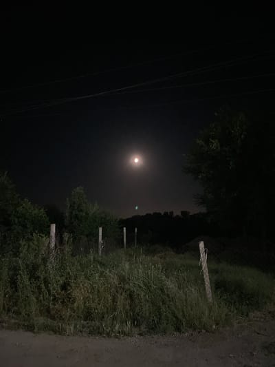 The image depicts a nighttime scene outdoors, with the moon prominently visible in the dark sky. The foreground shows a dirt path leading to an area with tall, overgrown grass and vegetation. A wire fence with concrete posts runs through the grassy area. In the background, there are trees and a dark silhouette of more distant foliage. Overhead, power lines are visible against the night sky. The overall impression is of a rural or semi-rural setting in Slobozia-Dușca, Moldova. There are no people or animals visible in the image.